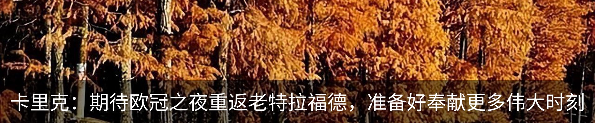 内页banner